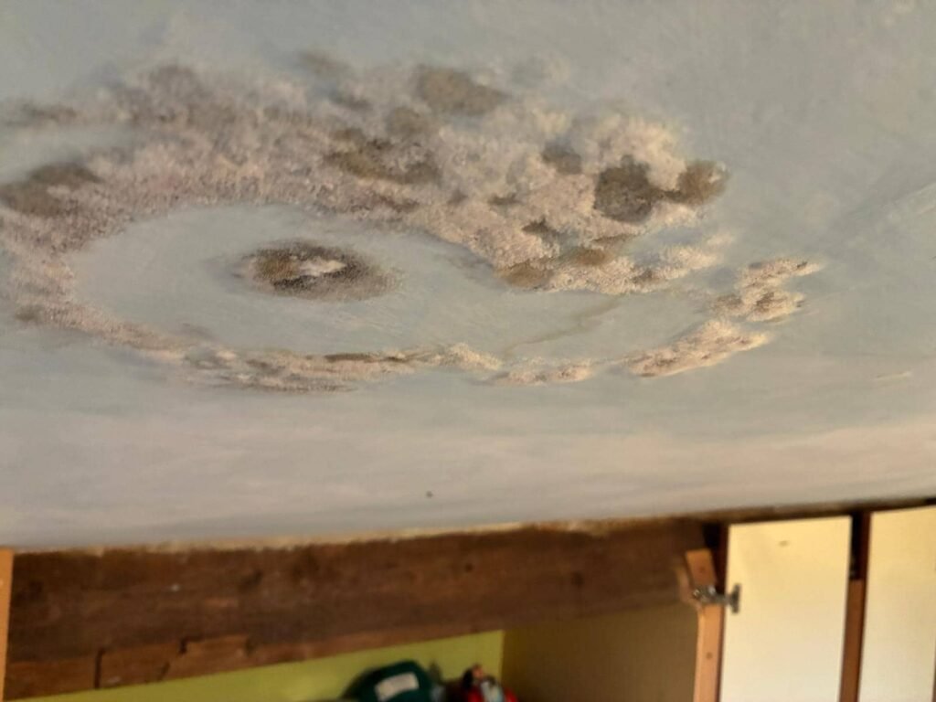 muffa soffitto cartongesso mansarda ponte termico tetto Manifestazione di muffa su soffitto in cartongesso di una mansarda, causata da un ponte termico strutturale tra la copertura e l'ambiente interno, tipico delle abitazioni con scarso isolamento sottotetto