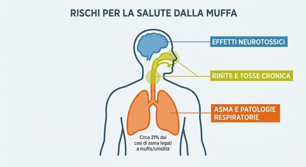 pericoli salute muffa indoor asma Infografica che illustra l'impatto patogeno della muffa indoor sul corpo umano: evidenzia rischi di rinite cronica, disturbi neurotossici e patologie respiratorie. Il grafico sottolinea che il 21% dei casi di asma è causato dall'umidità domestica, un problema critico per chi ha la muffa in casa.